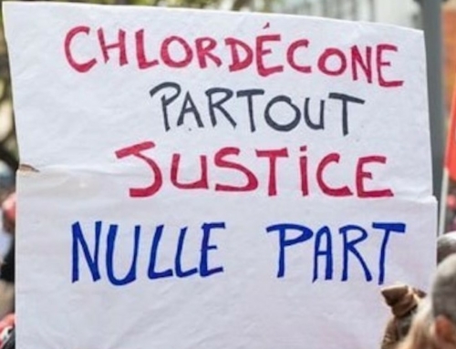 Chlordécone : non au non-lieu !