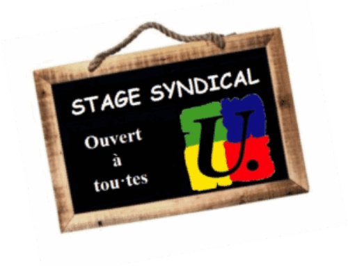 [Stage de formation syndicale : 10.04.2026] AESH et enseignant·es, un travail en commun