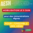 AESH 1